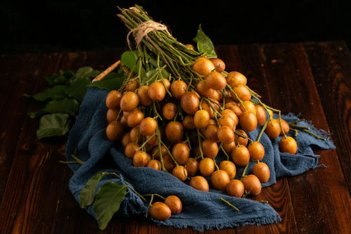 金黃盛夏 黃皮果的鏡頭美學